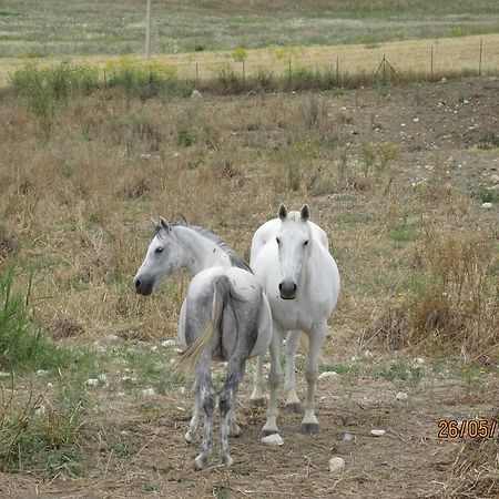 Agriturismo Reggia Saracena Agrigento Kültér fotó